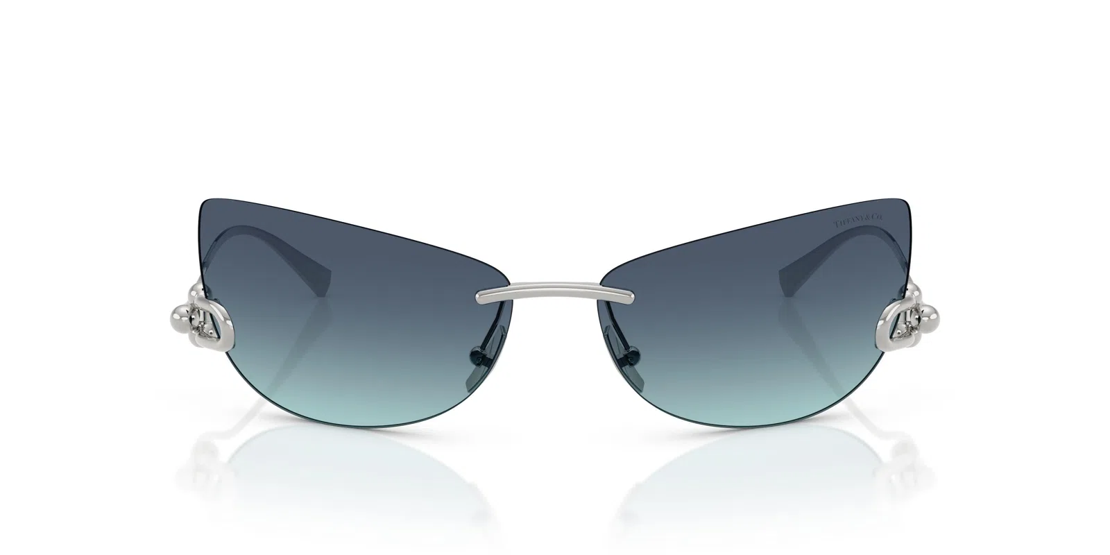Tiffany 3112K Sunglasses - view 17